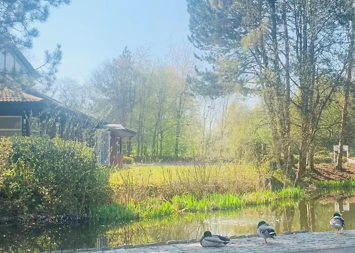 Happy Day -Walk To Warwick Uni & Cannon Park In Coventry That Offers Free Parking 溫馨小居